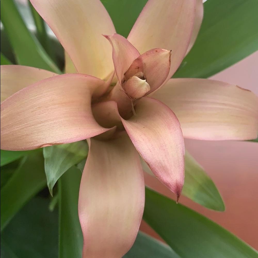 Meet your Posher, Anita